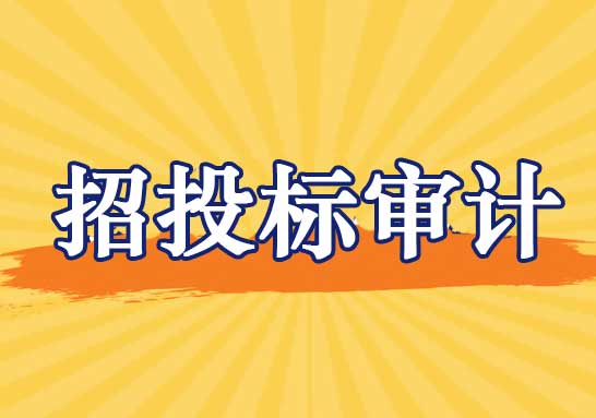招投標審計報告